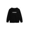 Box Fleece Crew Neck Sweatshirt