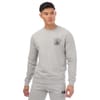 Mens Roundneck Sweatshirt