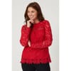 Long Sleeve Lace Top