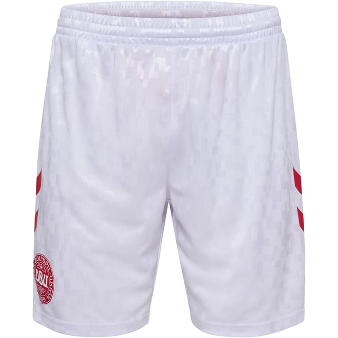 Denmark 2024 Soccer Shorts