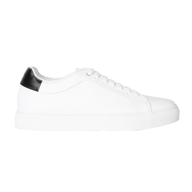 Smith Basso Trainers