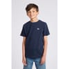 Belted Crew Neck Regular Fit T-Shirt