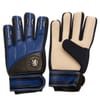 Delta Gk Gloves