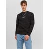 Jorvester Crew Sweatshirt