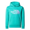 Drew Peak Hoodie
