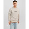 Jorvester Crew Sweatshirt
