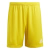 Mens Entrada 22 Shorts