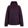 Passamani Hooded Down Jacket