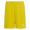 Ent22 Shorts Juniors