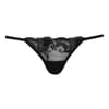 Brief