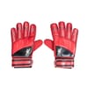 Delta Gk Gloves