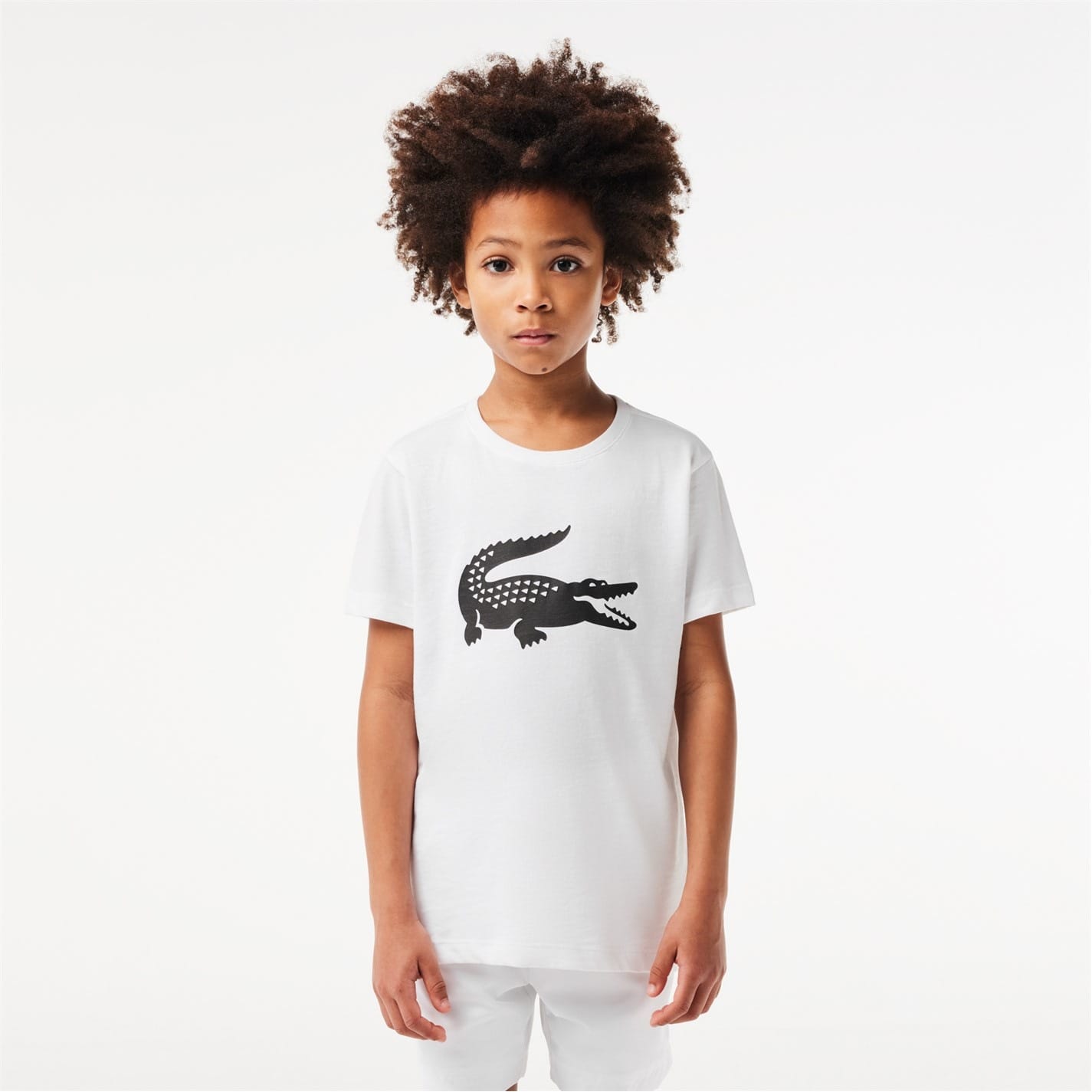 Lacoste large logo t shirt best sale