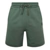 Fleece Shorts