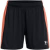Knit Athletic Shorts