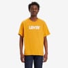 Relaxed Fit Graphic T-Shirt