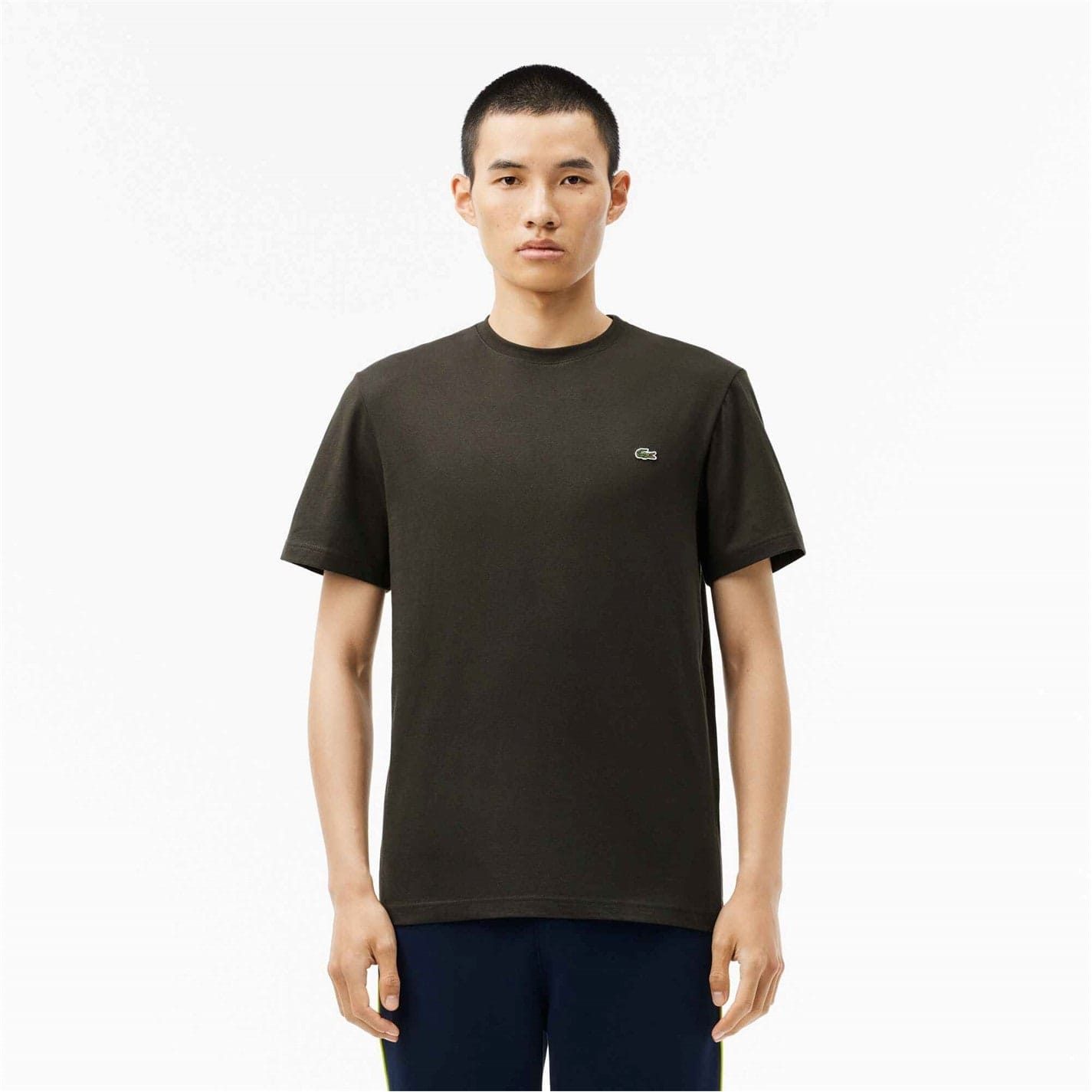 Lacoste Logo T Shirt in Green