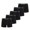 Pack Miller Trunks