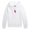 Hooded Regular Fit Polo Sweatshirt