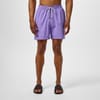Traveller Swim Shorts