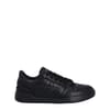 Tec S Squash